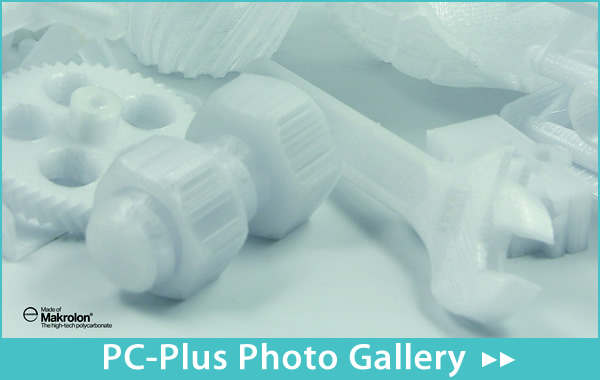 PC-Plus Photo Gallery