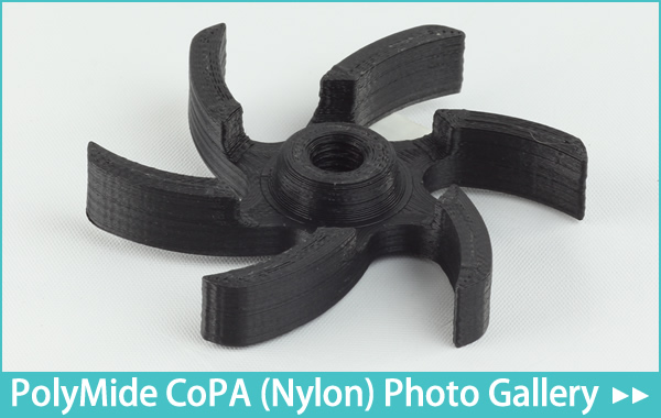 PolyMide CoPA (Nylon) Photo